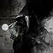 steelsir Halloween Mask Steampunk Long Nose Bird Beak Masks Gothic Black Cosplay Mask