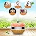 Essential Oil Diffuser Aromatherapy Diffuser - LOENDE Oil Diffuser Aroma Diffuser Cool Mist Humidifier Himalayan Salt Lamp Works with Alexa Google Home for Office Home Bedroom Living Room Yoga Spa