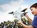 Disney Planes Bravo Jet Transporter Vehicle