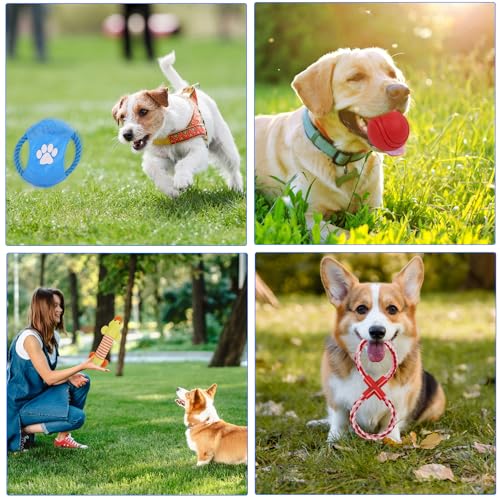 RUISTLI Juguetes para Perro 12 Piezas,Perros Accesorios Interactivo,Juguetes para Perros Ansiosos con Mordedera y Peluches,Juguetes para Perro Grande Cachorros,Cosas para Perros Seguro