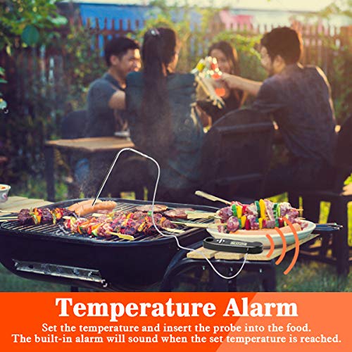2 Thermometer+DotStone+Backlight+Temperature+Function