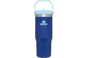 Stanley IceFlow Stainless Steel Tumbler with Straw, Vacuum Insulated Water Bottle for Home, Office or Car, Reusable Cup with 