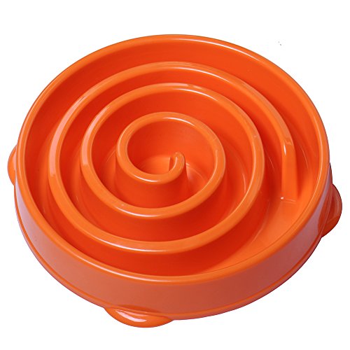spiral dog dish
