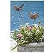 Ancient Graffiti Butterfly Duo Short Plant Garden Stake