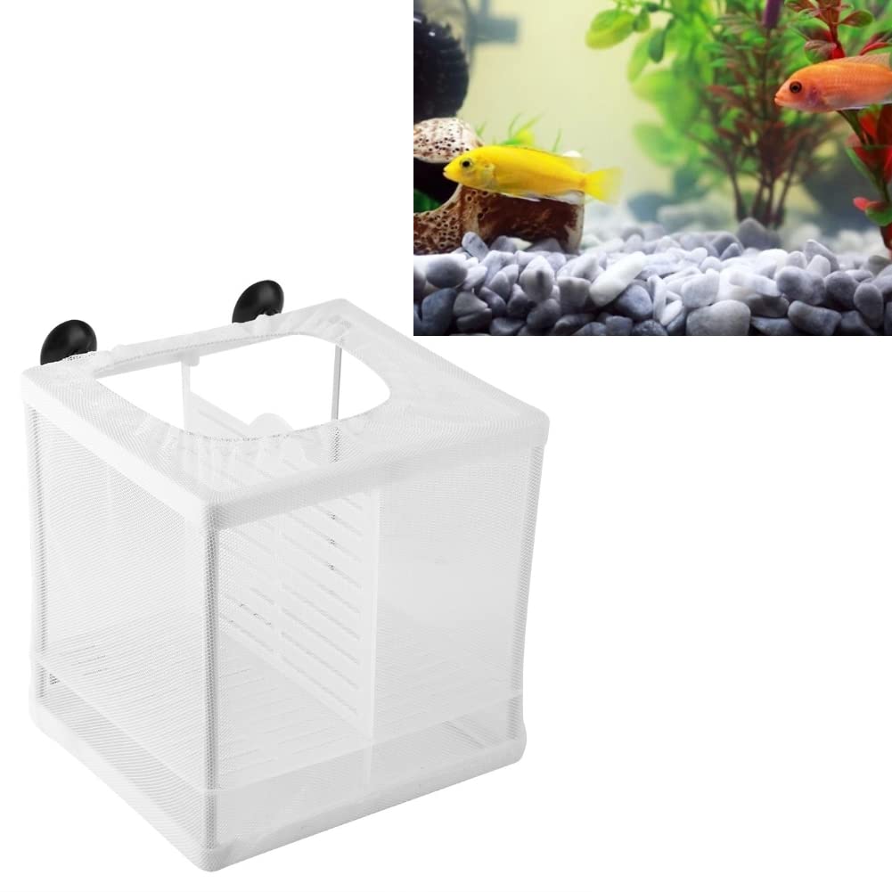 Aquarium Fish Breeder Box Fry Hatchery Incubator Breeding Tank Isolation Young with Board