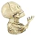 Design Toscano Bugged-Out Hungry Skeleton Mechanical Coin Bank, 6 Inch, Faux Bone Finish