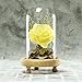 Yeefant Micro Landscape Decoration, Romantic Roses in a Glass Dome on Wooden Base with Light for Birthday Gift Bedroom Livingroom Decor,4x4x4.3 Inch (Yellow)
