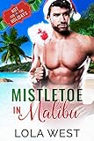 Mistletoe in Malibu : A Reverse Age Gap Christmas