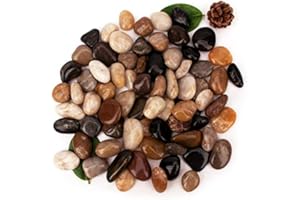 CFKJ 18 Pounds Pebbles Aquarium Gravel River Rock, Natural Polished Decorative Gravel, Polished Pebbles,Garden Ornamental River Pebbles Rocks, Mixed Color Stones for Landscaping Vase Fillers (18.3)