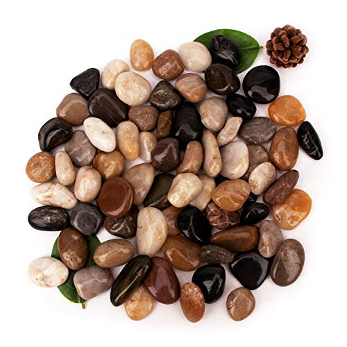 Photo 1 of 18 Pounds Pebbles Aquarium Gravel River Rock, Natural Polished Decorative Gravel, Polished Pebbles,Garden Ornamental River Pebbles Rocks, Mixed Color Stones for Landscaping Vase Fillers (18.3)