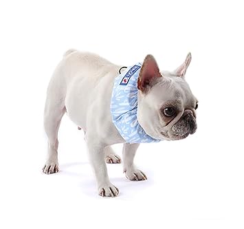 Amazon Pp Dd 犬用 夏に涼しいクールバンダナ ペット首輪 ひんやり