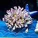 Danmu 1Pc of Polyresin Coral Ornaments, Aquarium Coral Decor, Diamater 4 1/3″ for Fish Tank Aquarium Decoration (Pink and White)thumb 3