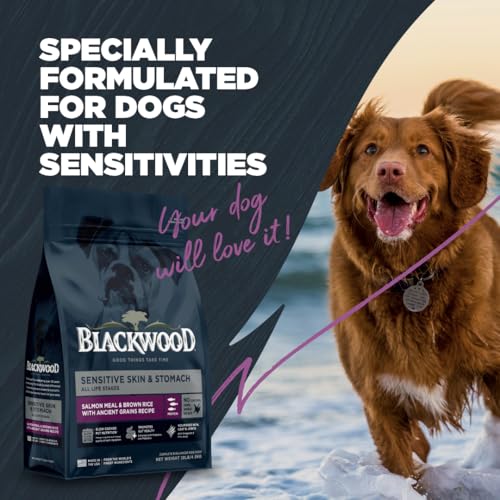 BLACKWOOD SENSITIVE SKIN & STOMACH DRY DOG FOOD, SALMON MEAL & BROWN RICE WITH ANCIENT GRAINS, 4.5 POUND BAG WITH PREBIOTICS & PROBIOTICS TO PROMOTE GUT HEALTH
