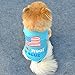 Summer Apparel Puppy dog pet clothes summer the usa flag vest sleeveless dog t-shirts apparel
