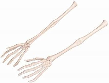 skeleton hand toy