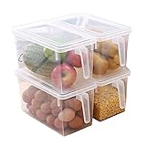 MineDecor Plastic Storage Containers Square Handle Food Storage Organizer Boxes with Lids for Refrigerator Fridge Cabinet Desk (Set of 4 Pack, Large Organizer Bins)