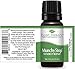 Plant Therapy Munchy Stop Synergy Essential Oil Blend. 100% Pure, Undiluted, Therapeutic Grade Essential Oils. 10 ml (1/3 oz).