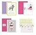 PLESIU Burgoyne 25 All-Occasion Cards with Greeting Card Organizer (Limited Edition 2019)