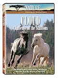 Nature: Cloud: Challenge of the Stallions