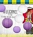Sonnis Paper Lanterns 12
