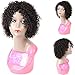 Human Hair Wigs for Black Women Middle Part Lace Wigs 130% Density human hair wigs (ROLA-DEEP)