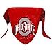 Hunter Company NCAA Ohio State Buckeyes Pet Bandana, Team Color, Small