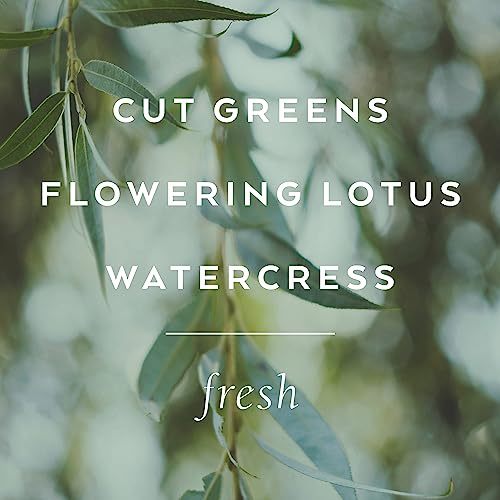 Library of Flowers Willow & Water Bubble Bath, 17 fl. oz. Cut Greens