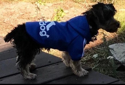 Moolecole Pet Sports Apparel Cat & Dog Cold Weather Coats Dog Hoodies Pet Sweaters (S, Sapphire Blue)