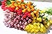 Mandy's Artificial Tulips 20 Stems Red PU Faux Flowers for Wedding Home Decor 13.5 Inch