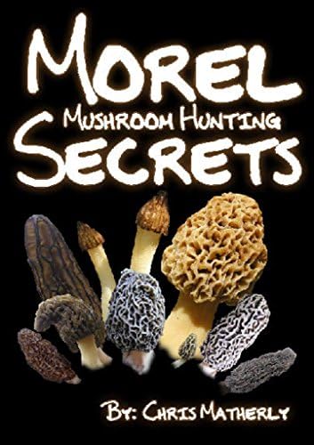 Morel Mushroom Hunting Secrets