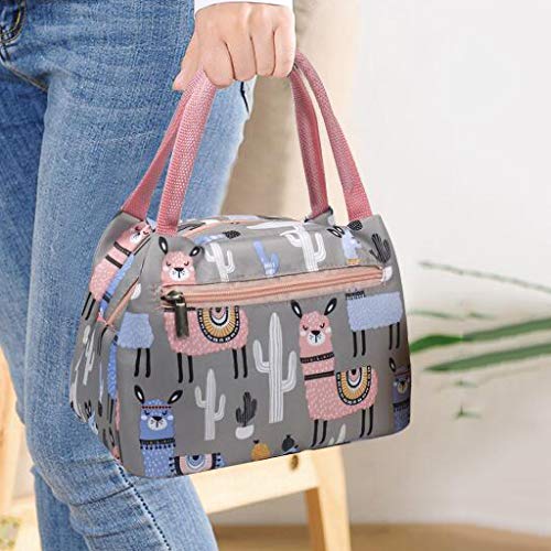 TooTu Lunch Bag Tote Cooler Bag for Women Lunch Box Insulated Lunch Container for/Picnic/Boating/Bea - //coolthings.us