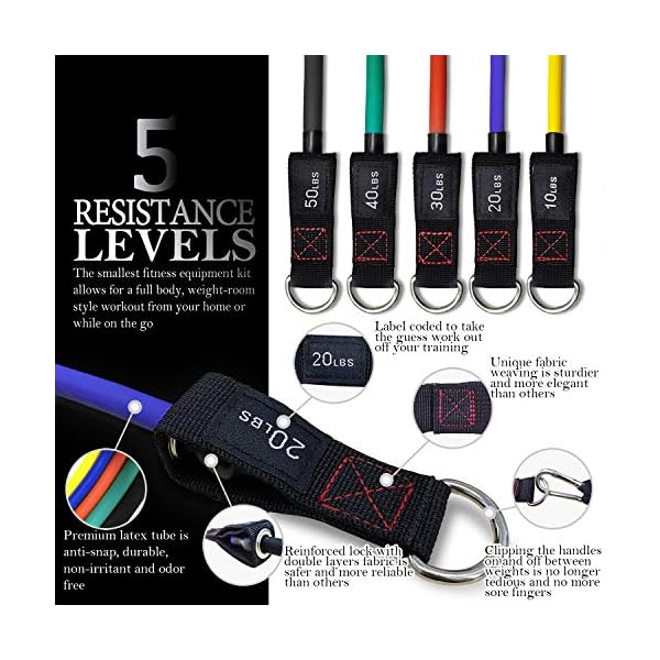 TheFitLife Exercise Resistance Bands with Handles - 5 Fitness Workout Bands Stackable up to 110/150/200/250 lbs…