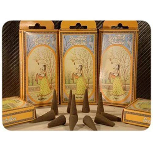 RADHE SHYAM Essence for Home, 1 Pack (1 x 100 g)