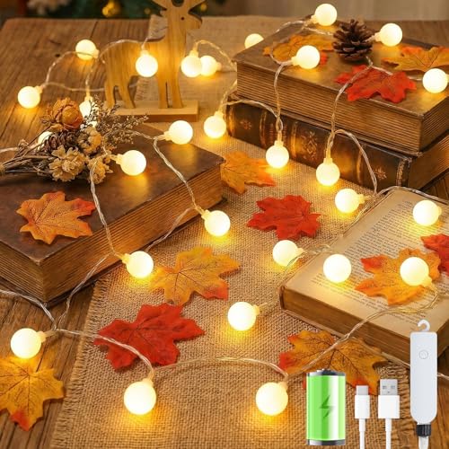 Giliwosy 60LEDs 10 m LED Lights Battery Operated with USB 8 Function Modes Timer IP65 Waterproof Decorative LED Lights for Balcony Garden Party Room Camping Christmas