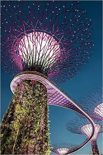 2019 Weekly Planner: Singapore Gardens by the Bay Week-at-a-Glance Calendar with Goal-Setting Section, 6