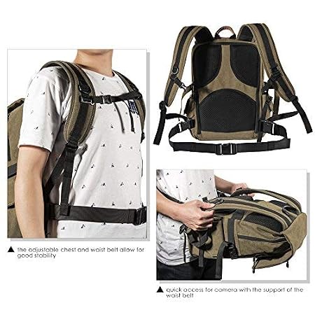 Zecti Mochila Profesional antigolpes para cámara DSLR Canon-Nikon-Sony  Mochila fotografia con Protector de Lluvia Mochilas Mochilas para cámaras  futakuchi-hakata.com