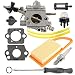 Anzac C1Q-S183 Carburetor with Air Filter Tune up kit for Stihl BR500 BR550 BR600 Backpack Blower with Adjusting Tool