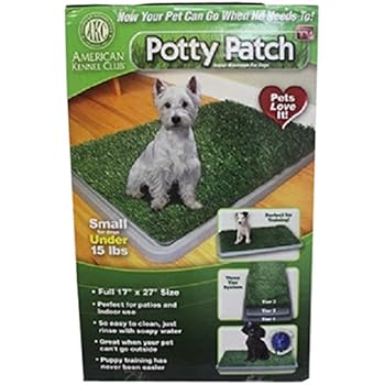 Amazon.com : Fresh Patch Disposable Dog Potty with REAL Grass - As Seen on SHARK TANK : Pet ...