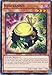 Yu-Gi-Oh - Kuribandit - SDPD-EN020 - Common - 1st Edition - Pendulum Domination Structure Deck