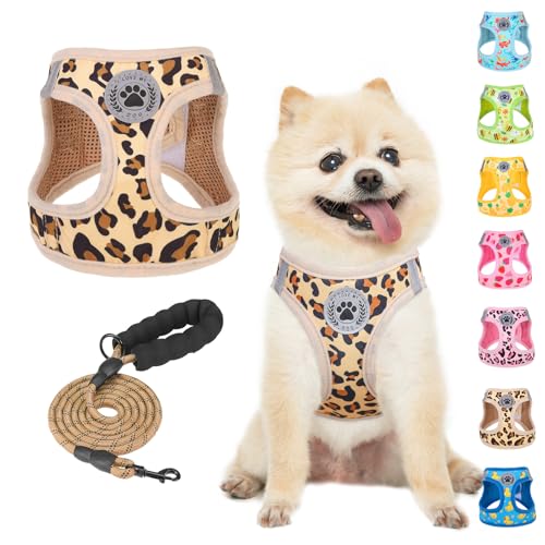 BEAUTYZOO Step Dog Harness Leash Set