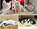 Cat Scratcher Cardboard for Kittens, LOYEH Corrugated Scratching Pad with Wave Curved Young Cats Catnip Cardboard Sofa Lounge Wave,16x8x1.5 inches Brown