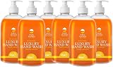 Star Brite Safe Hands Hand Wash Orange Bergamot 6x 500ml Antibacterial view 1