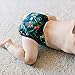 The Hollywood Hotel 4-Pack Cloth Pocket Diapers with 4 Bamboo Inserts