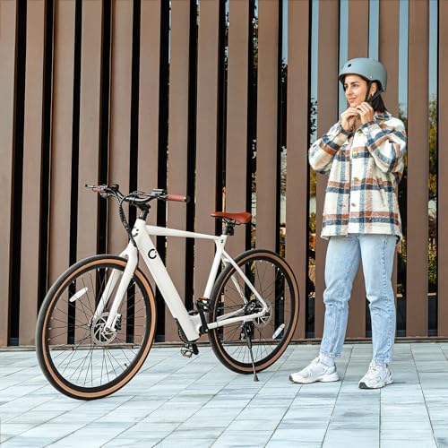 Bicicleta Eléctrica de Ciudad Sprint, 250W, Ruedas de 28", 70 Km de Autonomía, Batería 360 WH, Cambio de 8 Velocidades y Doble Disco de Freno Hidráulico