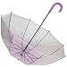 Kung Fu Smith Auto Open Transparent Bubble Shape Cartoon Print POE Stick Umbrella (Purple Flowers)