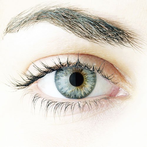 Freshlook Colorblends Monthly Color Lens-2 Lens (Powerless) (STERLING GRAY) 2 Freshlook Colorblends Monthly Color Lens-2 Lens (Powerless) (STERLING GRAY) - Image 2
