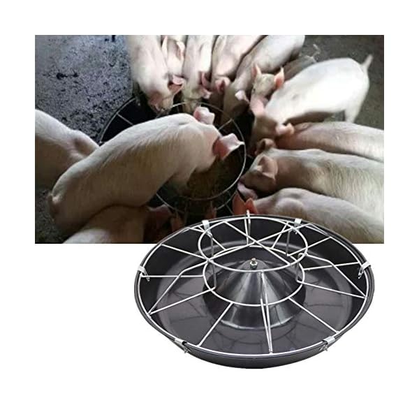 Abbeveratoio Ciotola per Maiale 8/12 Aperture di Alimentazione Seminare Acqua Cibo Ciotola Azienda Agricola Alimentatore…