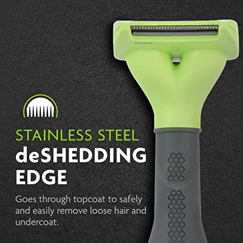 FURminator Small Dog Undercoat deShedding Tool, Short Hair, Reduces
