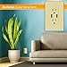 TOPGREENER TU2154A 4A High Speed Dual USB Charger Outlet 15A Tamper Resistant Receptacle & 2 Free Wall Plates, Ivory
