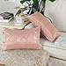 CaliTime Throw Pillow Covers Pack of 2 Modern Shining & Dull Contrast Circles Rings Accent Geometric Cushion Cases Shells for Couch Sofa Home Decor 12 X 20 Inches Dusty Pink